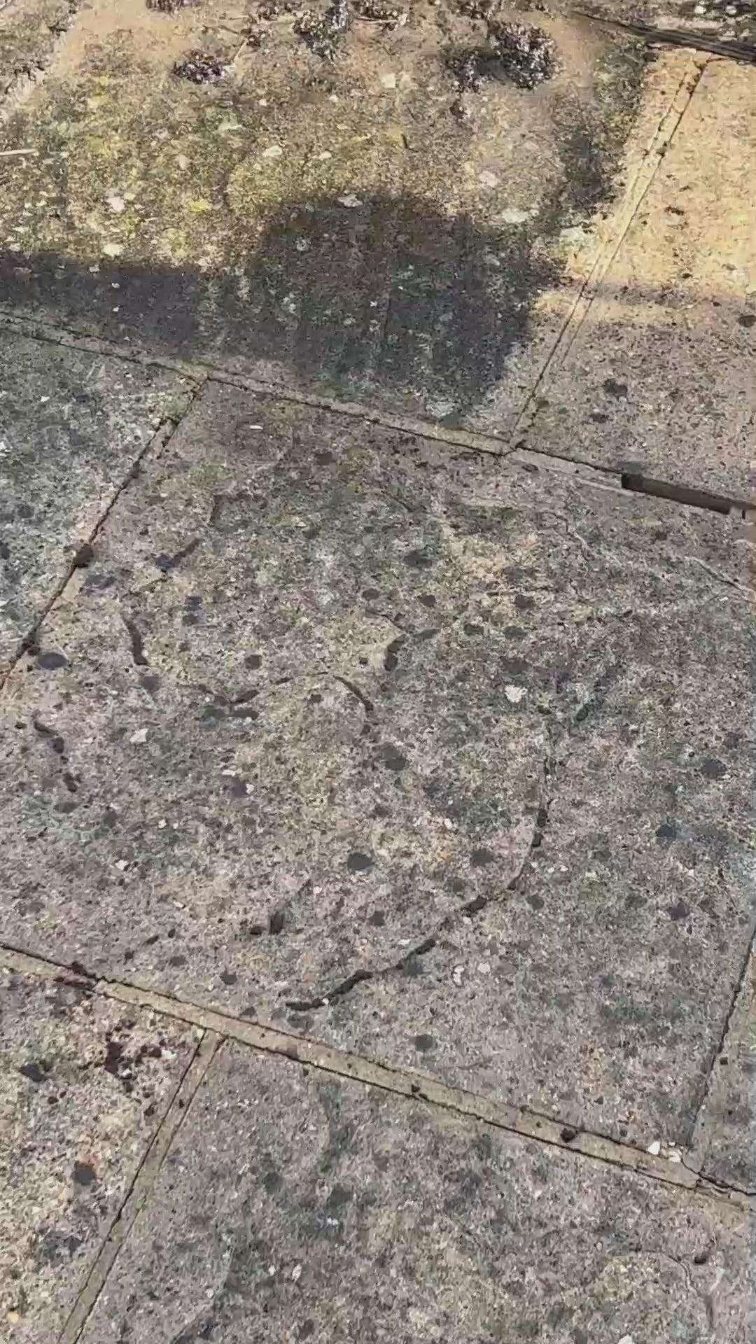 Bosch Universal Aquatak 135 Kit Corded Pressure washer 1.9kW video